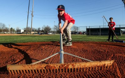 Why Baseball?